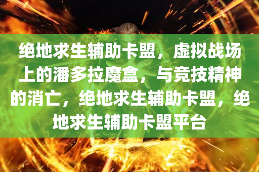 绝地求生辅助卡盟，虚拟战场上的潘多拉魔盒，与竞技精神的消亡，绝地求生辅助卡盟，绝地求生辅助卡盟平台
