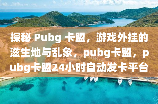 探秘 Pubg 卡盟，游戏外挂的滋生地与乱象，pubg卡盟，pubg卡盟24小时自动发卡平台