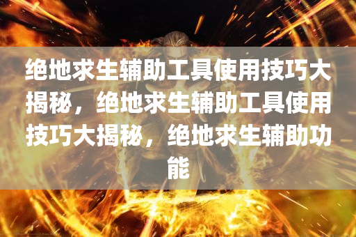 绝地求生辅助工具使用技巧大揭秘，绝地求生辅助工具使用技巧大揭秘，绝地求生辅助功能