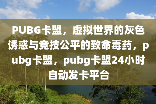 PUBG卡盟,虚拟世界的灰色诱惑与竞技公平的致命毒药,pubg卡盟,pubg卡盟24小时自动发卡平台