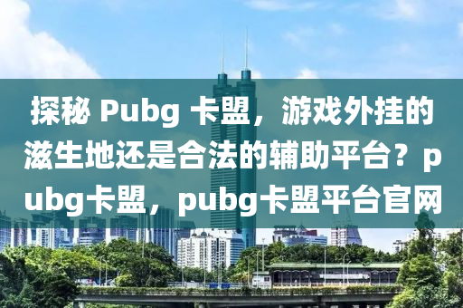 探秘 Pubg 卡盟，游戏外挂的滋生地还是合法的辅助平台？pubg卡盟，pubg卡盟平台官网