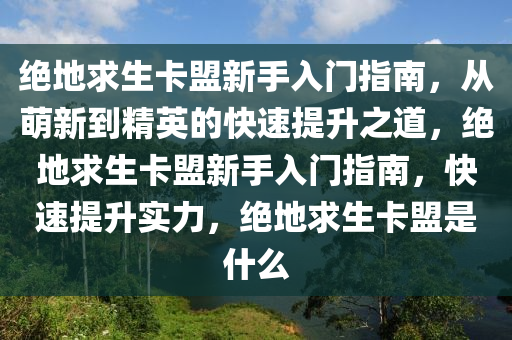 绝地求生卡盟新手入门指南，从萌新到精英的快速提升之道，绝地求生卡盟新手入门指南，快速提升实力，绝地求生卡盟是什么