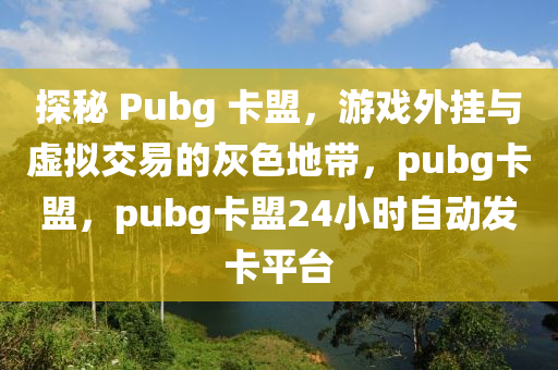 探秘 Pubg 卡盟，游戏外挂与虚拟交易的灰色地带，pubg卡盟，pubg卡盟24小时自动发卡平台