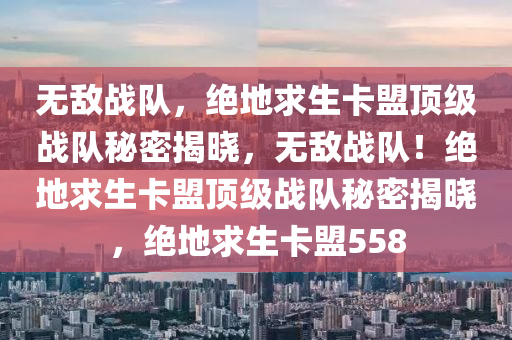 无敌战队，绝地求生卡盟顶级战队秘密揭晓，无敌战队！绝地求生卡盟顶级战队秘密揭晓，绝地求生卡盟558