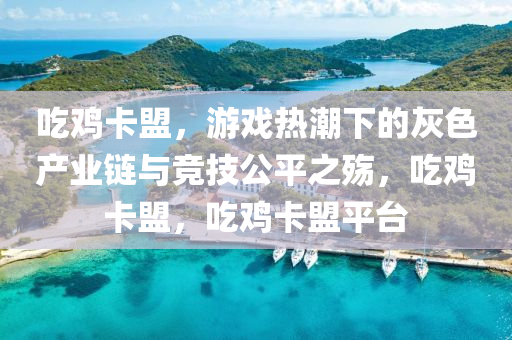 吃鸡卡盟，游戏热潮下的灰色产业链与竞技公平之殇，吃鸡卡盟，吃鸡卡盟平台