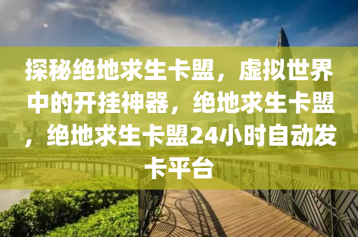 探秘绝地求生卡盟，虚拟世界中的开挂神器，绝地求生卡盟，绝地求生卡盟24小时自动发卡平台