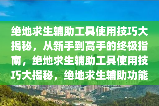 绝地求生辅助工具使用技巧大揭秘,从新手到高手的终极指南,绝地求生辅助工具使用技巧大揭秘,绝地求生辅助功能