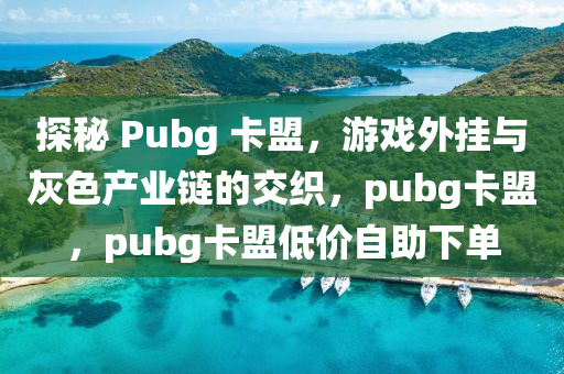 探秘 Pubg 卡盟，游戏外挂与灰色产业链的交织，pubg卡盟，pubg卡盟低价自助下单