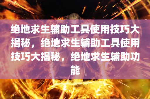 绝地求生辅助工具使用技巧大揭秘，绝地求生辅助工具使用技巧大揭秘，绝地求生辅助功能