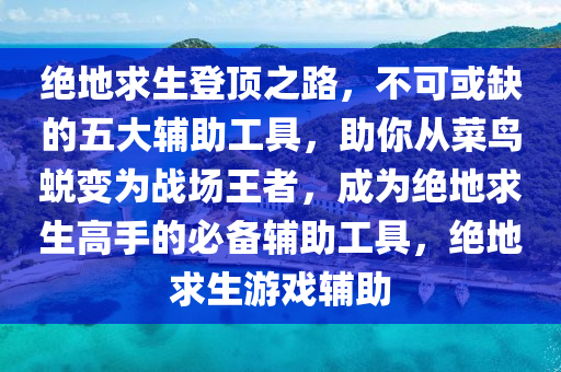 绝地求生登顶之路，不可或缺的五大辅助工具，助你从菜鸟蜕变为战场王者，成为绝地求生高手的必备辅助工具，绝地求生游戏辅助