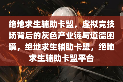 绝地求生辅助卡盟,虚拟竞技场背后的灰色产业链与道德困境,绝地求生辅助卡盟,绝地求生辅助卡盟平台