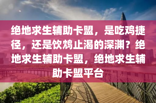 绝地求生辅助卡盟，是吃鸡捷径，还是饮鸩止渴的深渊？绝地求生辅助卡盟，绝地求生辅助卡盟平台