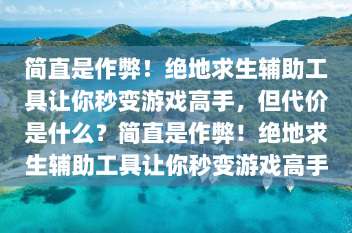 简直是作弊！绝地求生辅助工具让你秒变游戏高手，但代价是什么？简直是作弊！绝地求生辅助工具让你秒变游戏高手