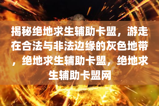 揭秘绝地求生辅助卡盟，游走在合法与非法边缘的灰色地带，绝地求生辅助卡盟，绝地求生辅助卡盟网