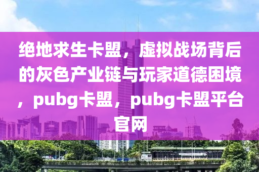 绝地求生卡盟，虚拟战场背后的灰色产业链与玩家道德困境，pubg卡盟，pubg卡盟平台官网
