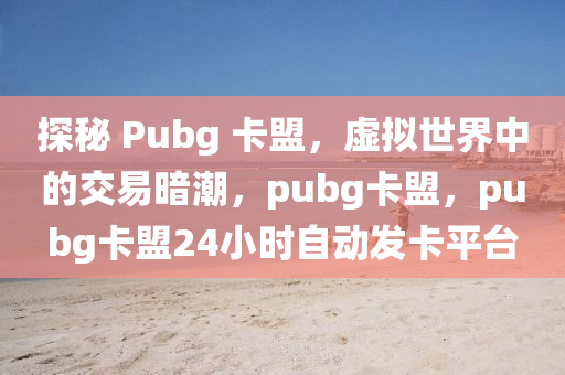探秘 Pubg 卡盟，虚拟世界中的交易暗潮，pubg卡盟，pubg卡盟24小时自动发卡平台