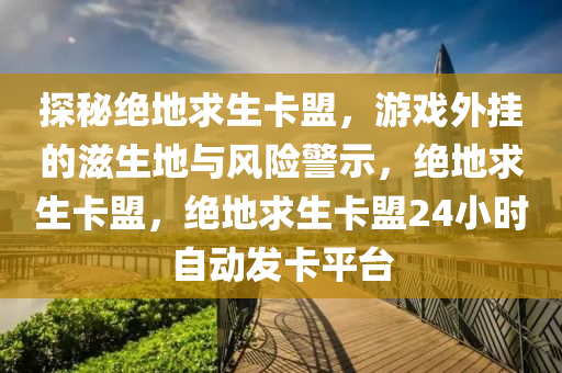 探秘绝地求生卡盟，游戏外挂的滋生地与风险警示，绝地求生卡盟，绝地求生卡盟24小时自动发卡平台