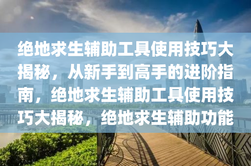 绝地求生辅助工具使用技巧大揭秘，从新手到高手的进阶指南，绝地求生辅助工具使用技巧大揭秘，绝地求生辅助功能