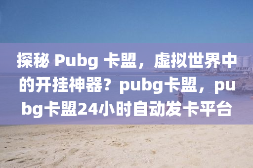 探秘 Pubg 卡盟，虚拟世界中的开挂神器？pubg卡盟，pubg卡盟24小时自动发卡平台