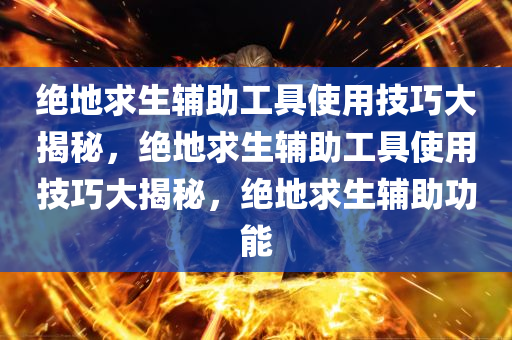 绝地求生辅助工具使用技巧大揭秘，绝地求生辅助工具使用技巧大揭秘，绝地求生辅助功能