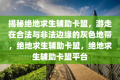 揭秘绝地求生辅助卡盟，游走在合法与非法边缘的灰色地带，绝地求生辅助卡盟，绝地求生辅助卡盟平台