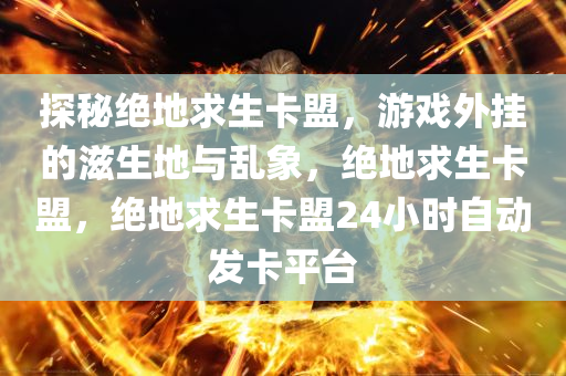 探秘绝地求生卡盟，游戏外挂的滋生地与乱象，绝地求生卡盟，绝地求生卡盟24小时自动发卡平台