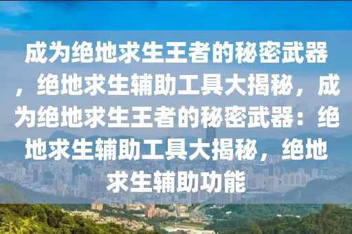 成为绝地求生王者的秘密武器，绝地求生辅助工具大揭秘，成为绝地求生王者的秘密武器：绝地求生辅助工具大揭秘，绝地求生辅助功能