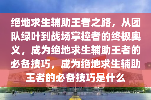 绝地求生辅助王者之路，从团队绿叶到战场掌控者的终极奥义，成为绝地求生辅助王者的必备技巧，成为绝地求生辅助王者的必备技巧是什么