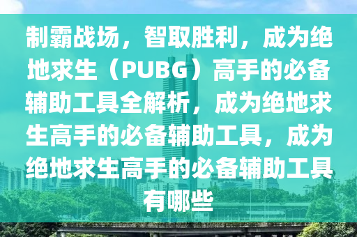 制霸战场，智取胜利，成为绝地求生（PUBG）高手的必备辅助工具全解析，成为绝地求生高手的必备辅助工具，成为绝地求生高手的必备辅助工具有哪些
