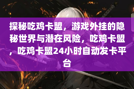 探秘吃鸡卡盟，游戏外挂的隐秘世界与潜在风险，吃鸡卡盟，吃鸡卡盟24小时自动发卡平台