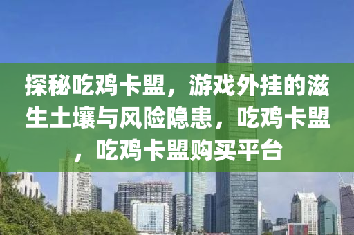 探秘吃鸡卡盟，游戏外挂的滋生土壤与风险隐患，吃鸡卡盟，吃鸡卡盟购买平台