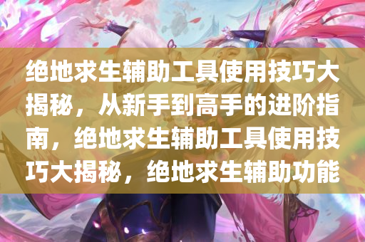 绝地求生辅助工具使用技巧大揭秘，从新手到高手的进阶指南，绝地求生辅助工具使用技巧大揭秘，绝地求生辅助功能