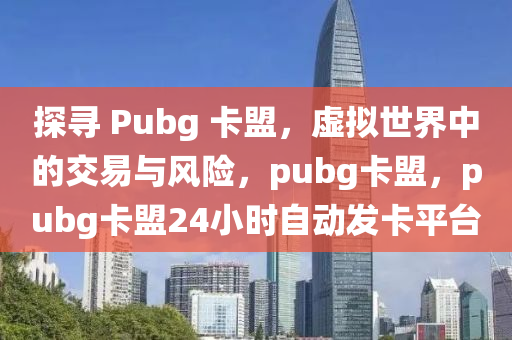 探寻 Pubg 卡盟，虚拟世界中的交易与风险，pubg卡盟，pubg卡盟24小时自动发卡平台