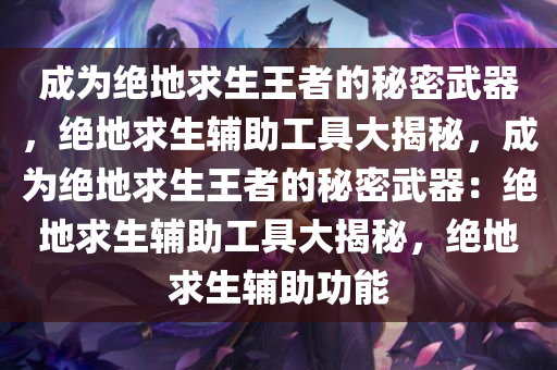 成为绝地求生王者的秘密武器，绝地求生辅助工具大揭秘，成为绝地求生王者的秘密武器：绝地求生辅助工具大揭秘，绝地求生辅助功能
