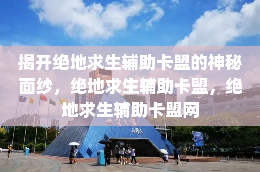 揭开绝地求生辅助卡盟的神秘面纱，绝地求生辅助卡盟，绝地求生辅助卡盟网