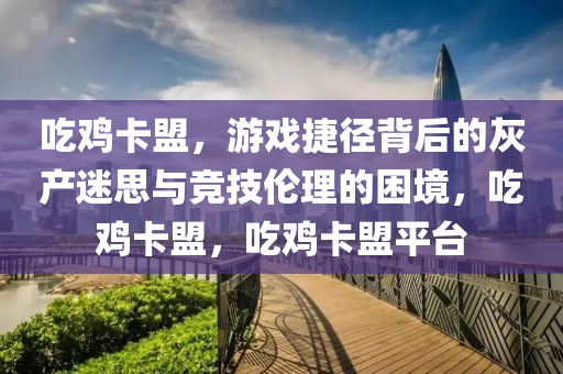 吃鸡卡盟，游戏捷径背后的灰产迷思与竞技伦理的困境，吃鸡卡盟，吃鸡卡盟平台