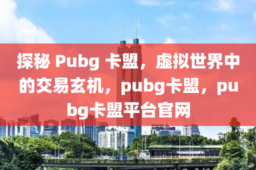 探秘 Pubg 卡盟，虚拟世界中的交易玄机，pubg卡盟，pubg卡盟平台官网