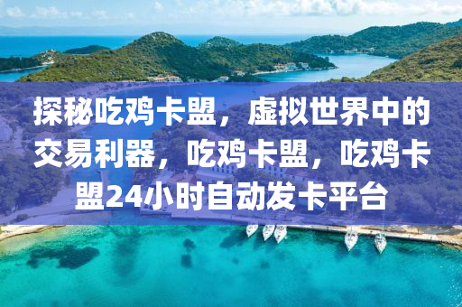 探秘吃鸡卡盟，虚拟世界中的交易利器，吃鸡卡盟，吃鸡卡盟24小时自动发卡平台