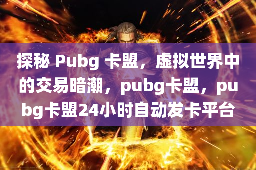 探秘 Pubg 卡盟，虚拟世界中的交易暗潮，pubg卡盟，pubg卡盟24小时自动发卡平台