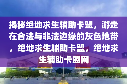 揭秘绝地求生辅助卡盟，游走在合法与非法边缘的灰色地带，绝地求生辅助卡盟，绝地求生辅助卡盟网