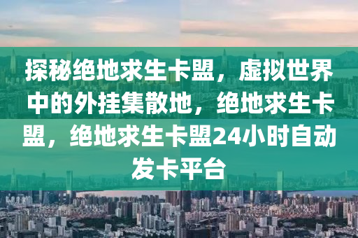 探秘绝地求生卡盟，虚拟世界中的外挂集散地，绝地求生卡盟，绝地求生卡盟24小时自动发卡平台