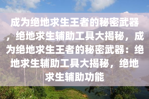 成为绝地求生王者的秘密武器，绝地求生辅助工具大揭秘，成为绝地求生王者的秘密武器：绝地求生辅助工具大揭秘，绝地求生辅助功能