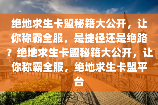 绝地求生卡盟秘籍大公开，让你称霸全服，是捷径还是绝路？绝地求生卡盟秘籍大公开，让你称霸全服，绝地求生卡盟平台