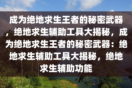 成为绝地求生王者的秘密武器，绝地求生辅助工具大揭秘，成为绝地求生王者的秘密武器：绝地求生辅助工具大揭秘，绝地求生辅助功能