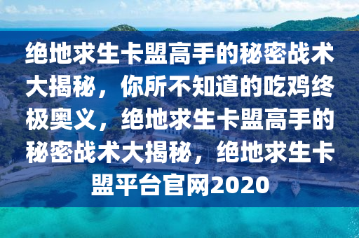 绝地求生卡盟高手的秘密战术大揭秘，你所不知道的吃鸡终极奥义，绝地求生卡盟高手的秘密战术大揭秘，绝地求生卡盟平台官网2020