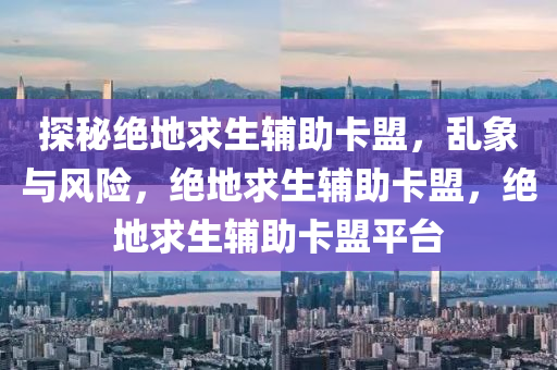 探秘绝地求生辅助卡盟，乱象与风险，绝地求生辅助卡盟，绝地求生辅助卡盟平台
