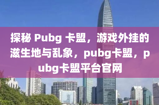 探秘 Pubg 卡盟，游戏外挂的滋生地与乱象，pubg卡盟，pubg卡盟平台官网