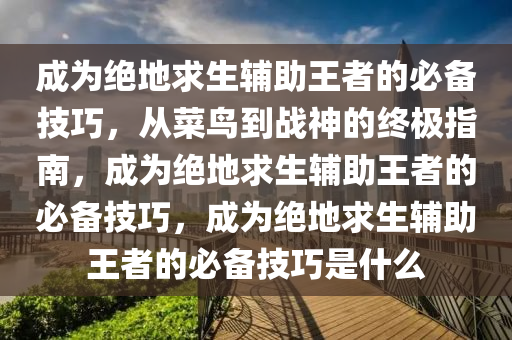 成为绝地求生辅助王者的必备技巧，从菜鸟到战神的终极指南，成为绝地求生辅助王者的必备技巧，成为绝地求生辅助王者的必备技巧是什么