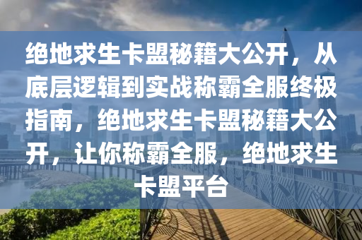 绝地求生卡盟秘籍大公开,从底层逻辑到实战称霸全服终极指南,绝地求生卡盟秘籍大公开,让你称霸全服,绝地求生卡盟平台