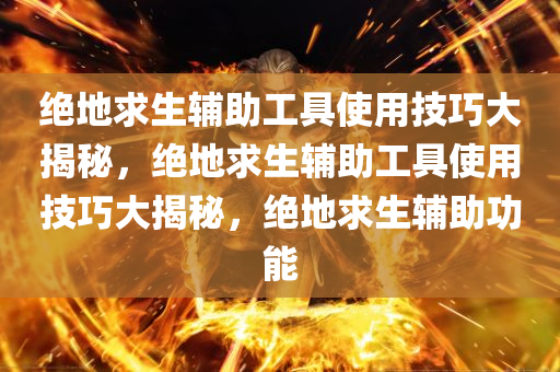 绝地求生辅助工具使用技巧大揭秘，绝地求生辅助工具使用技巧大揭秘，绝地求生辅助功能
